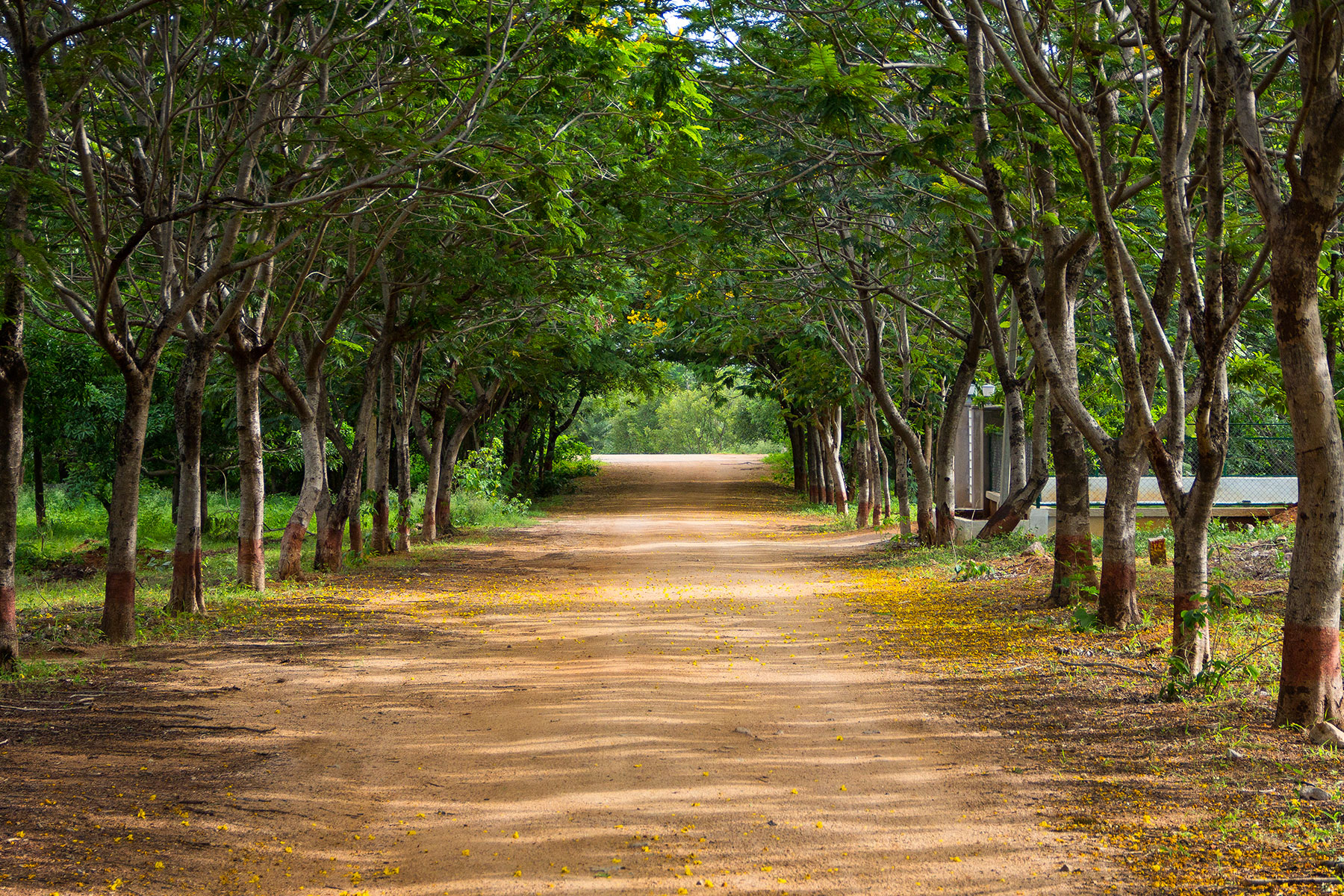  Signature Type Nature Walk